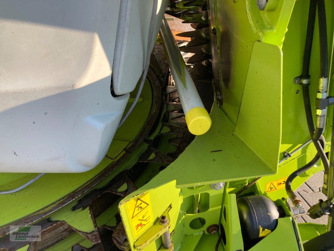 Maisgebiss del tipo CLAAS Orbis 750, Gebrauchtmaschine en Rhede / Brual (Imagen 5)