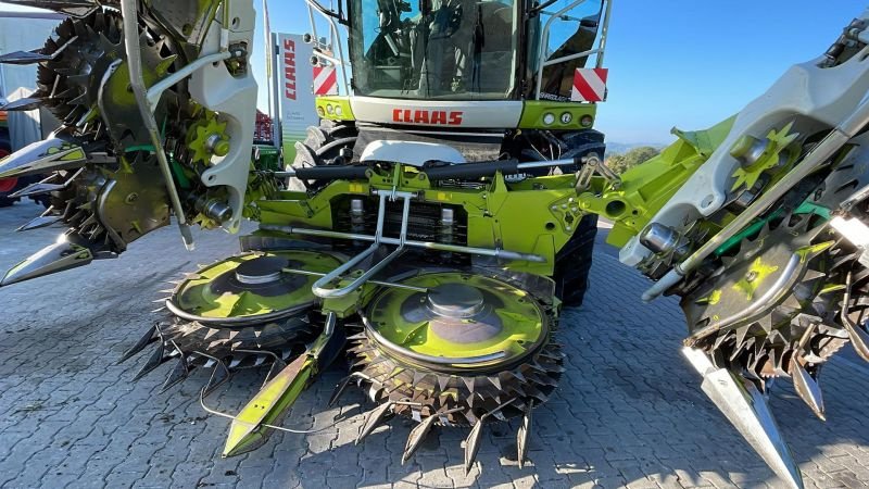 Maisgebiß of the type CLAAS ORBIS 900 3T, Gebrauchtmaschine in Birgland (Picture 11)