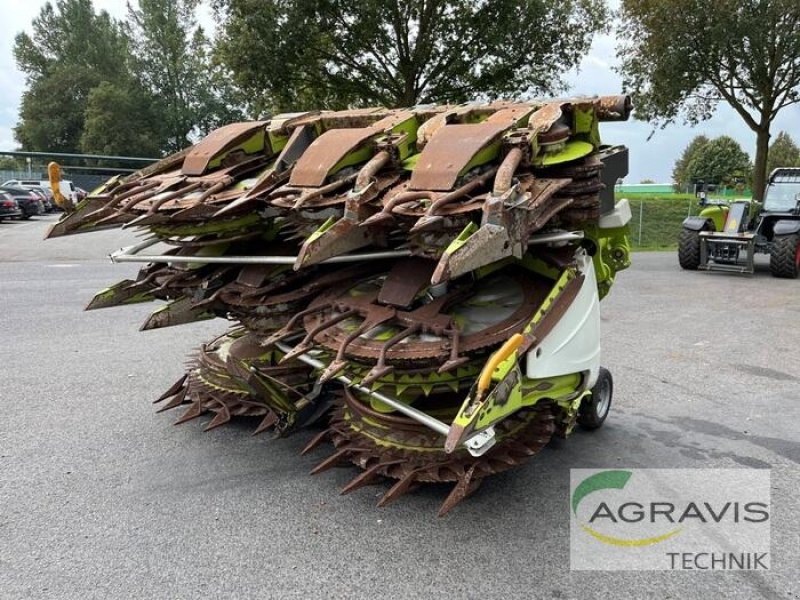 Maisgebiss Türe ait CLAAS ORBIS 900 AC 3T, Gebrauchtmaschine içinde Meppen (resim 1)