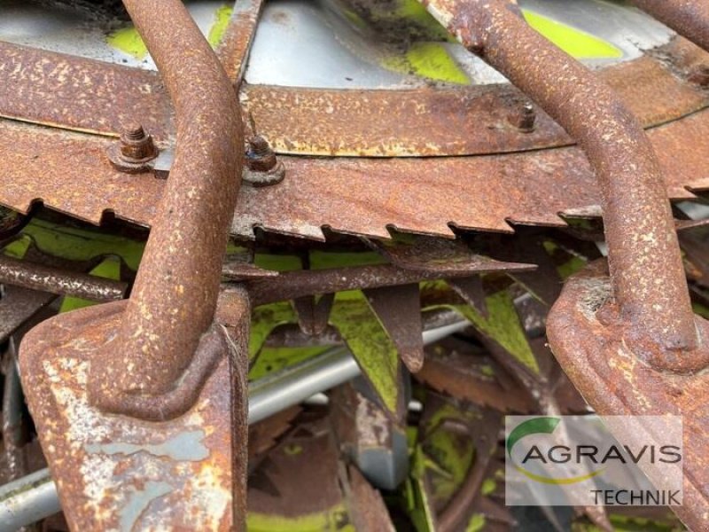 Maisgebiss a típus CLAAS ORBIS 900 AC 3T, Gebrauchtmaschine ekkor: Meppen (Kép 10)