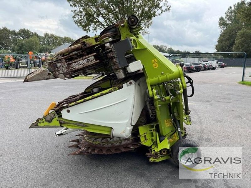 Maisgebiß типа CLAAS ORBIS 900 AC 3T, Gebrauchtmaschine в Meppen (Фотография 5)