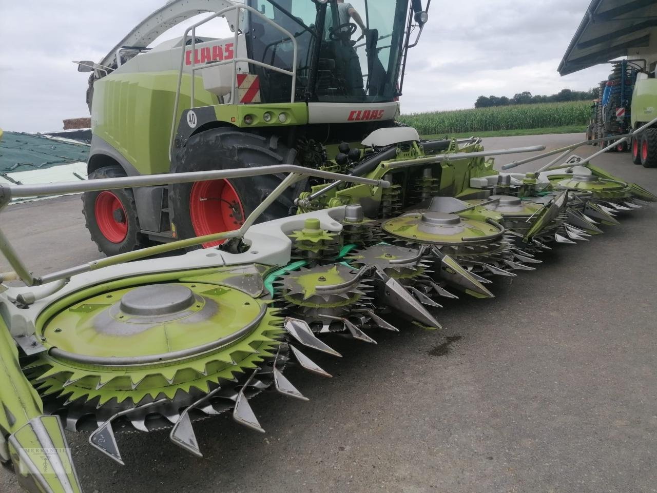 Maisgebiss typu CLAAS Orbis 900 AC AP 3T, Gebrauchtmaschine w Pragsdorf (Zdjęcie 1)