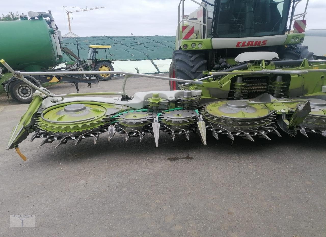 Maisgebiß des Typs CLAAS Orbis 900 AC AP 3T, Gebrauchtmaschine in Pragsdorf (Bild 2)