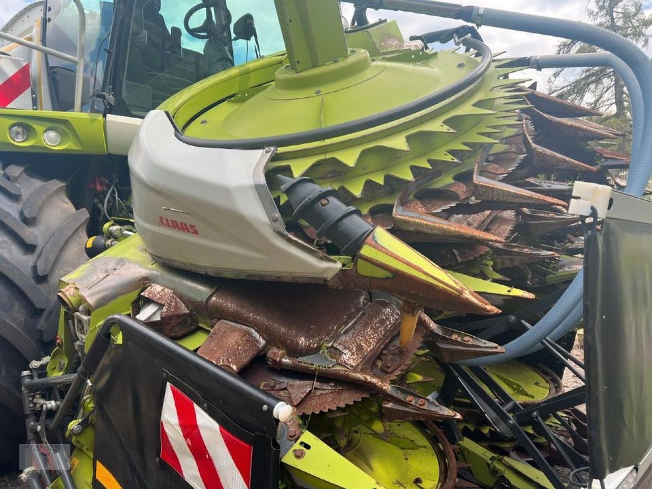 Maisgebiß des Typs CLAAS Orbis 900 AC AP, Gebrauchtmaschine in Pragsdorf (Bild 10)