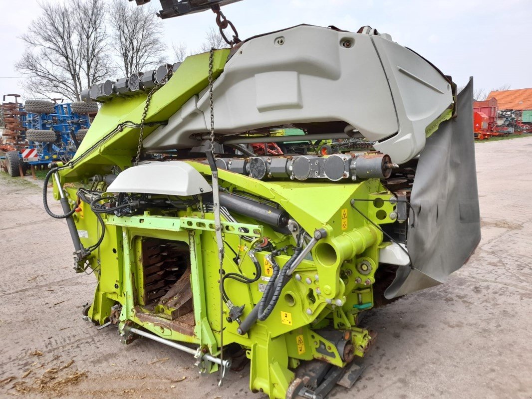 Maisgebiss van het type CLAAS ORBIS 900 AC TS Pro, Gebrauchtmaschine in Liebenwalde (Foto 1)