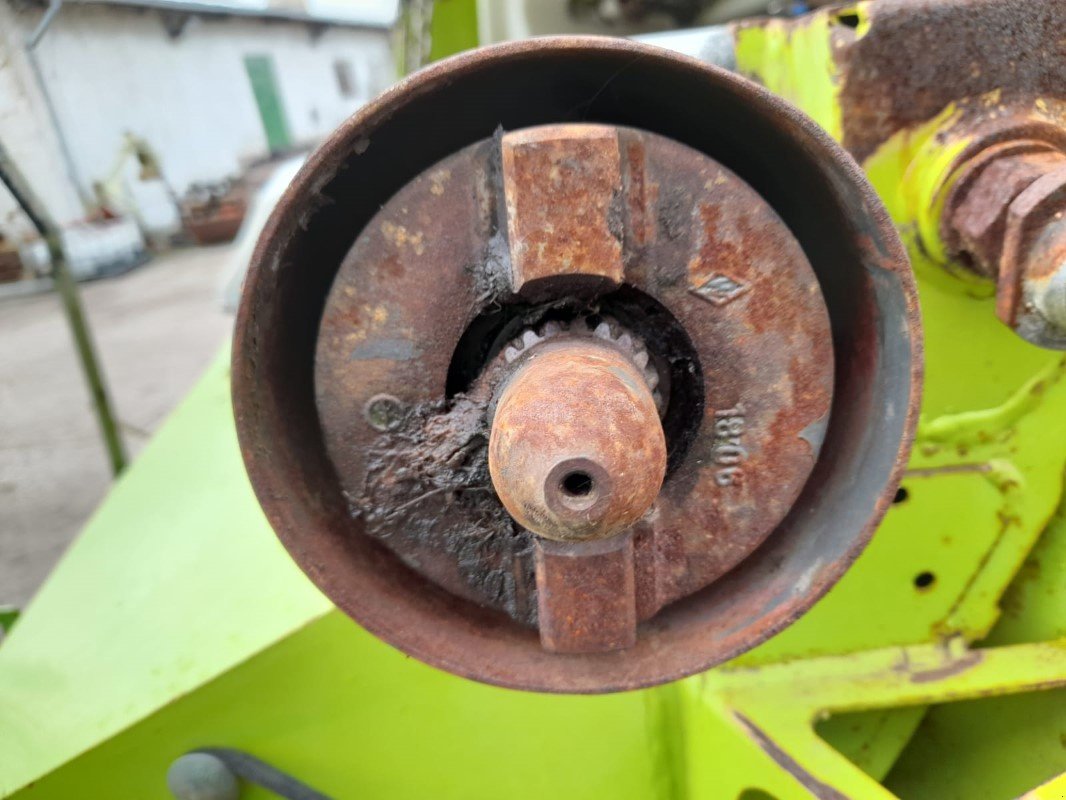 Maisgebiss van het type CLAAS ORBIS 900 AC TS Pro, Gebrauchtmaschine in Liebenwalde (Foto 3)