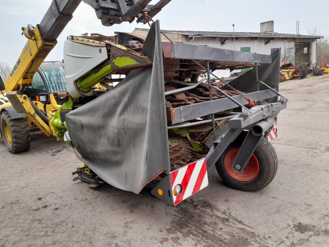 Maisgebiss del tipo CLAAS ORBIS 900 AC TS Pro, Gebrauchtmaschine In Liebenwalde (Immagine 19)