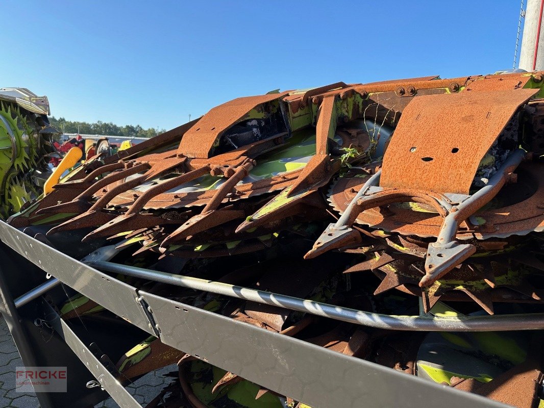 Maisgebiß a típus CLAAS Orbis 900 AC, Gebrauchtmaschine ekkor: Bockel - Gyhum (Kép 3)