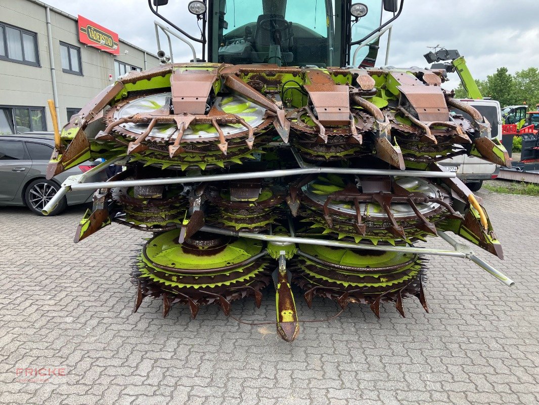 Maisgebiß du type CLAAS Orbis 900 T *AKTIONSWOCHE*, Gebrauchtmaschine en Demmin (Photo 3)