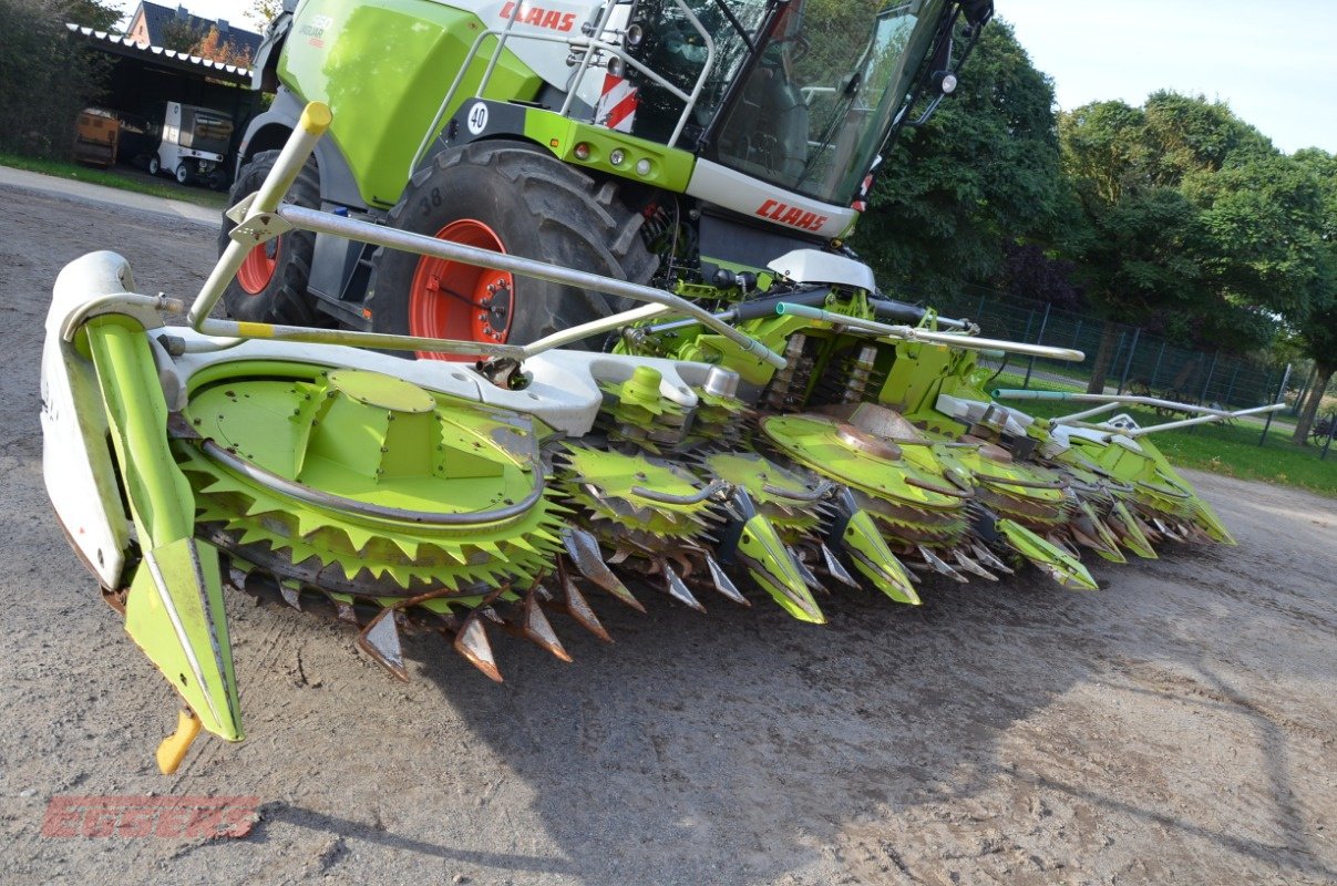 Maisgebiss del tipo CLAAS ORBIS 900 Transportsystem, Gebrauchtmaschine en Suhlendorf (Imagen 2)