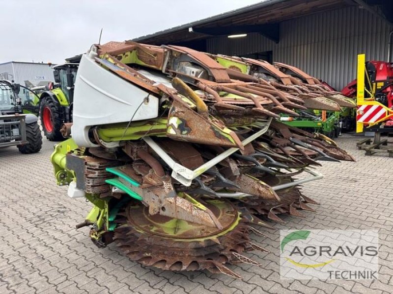 Maisgebiss a típus CLAAS ORBIS 900, Gebrauchtmaschine ekkor: Meppen (Kép 2)