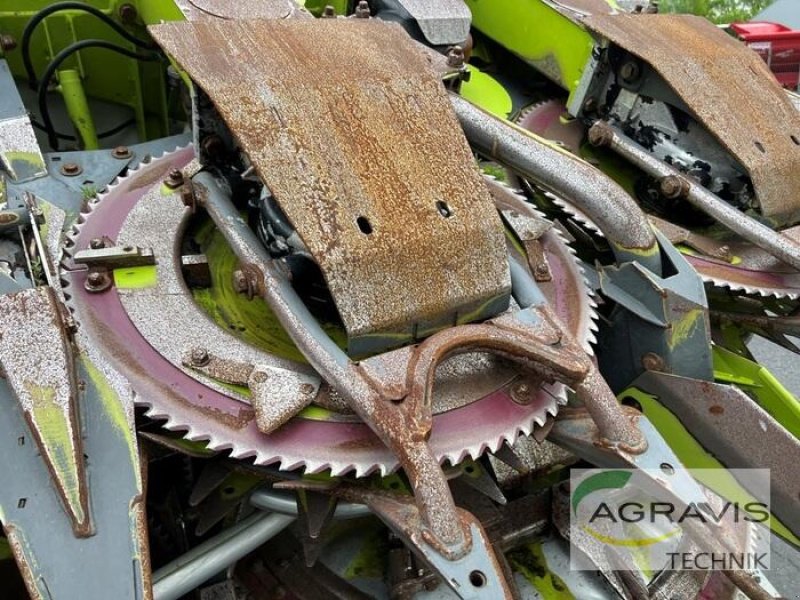 Maisgebiss tip CLAAS ORBIS 900, Gebrauchtmaschine in Meppen (Poză 10)