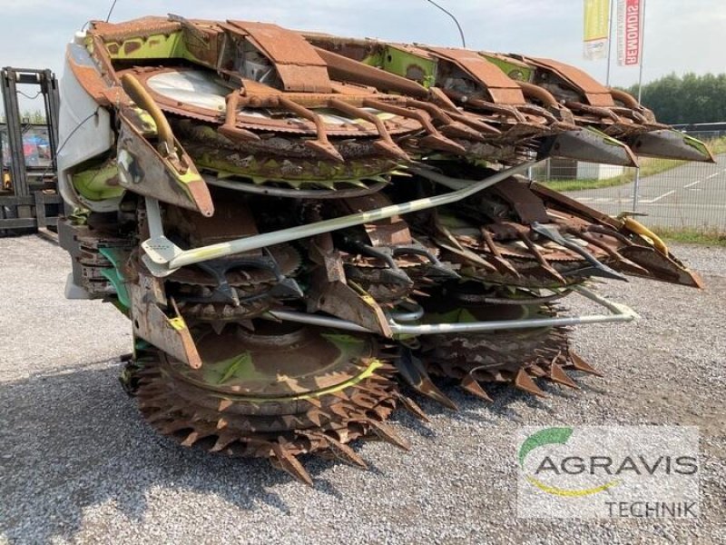 Maisgebiß van het type CLAAS ORBIS 900, Gebrauchtmaschine in Olfen  (Foto 2)