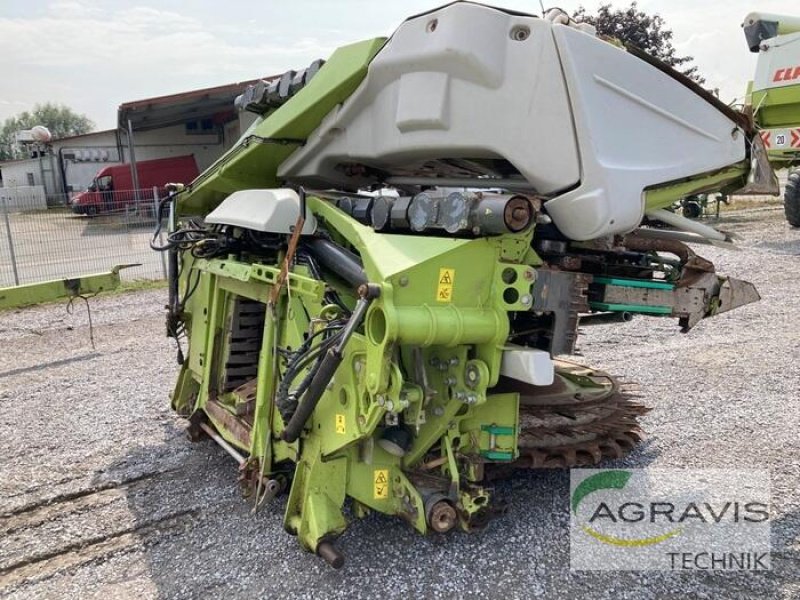 Maisgebiß des Typs CLAAS ORBIS 900, Gebrauchtmaschine in Olfen  (Bild 3)