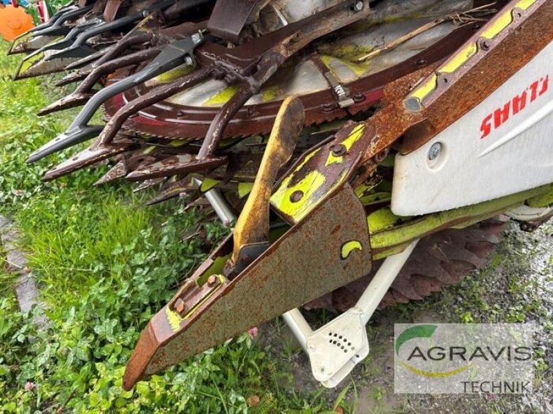 Maisgebiß van het type CLAAS ORBIS 900, Gebrauchtmaschine in Olfen  (Foto 5)