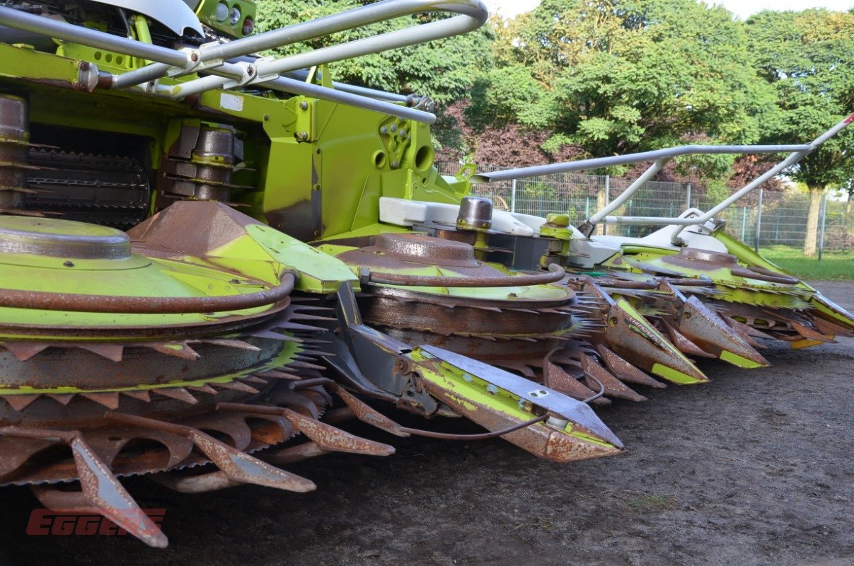 Maisgebiss del tipo CLAAS ORBIS 900, Gebrauchtmaschine In Suhlendorf (Immagine 8)