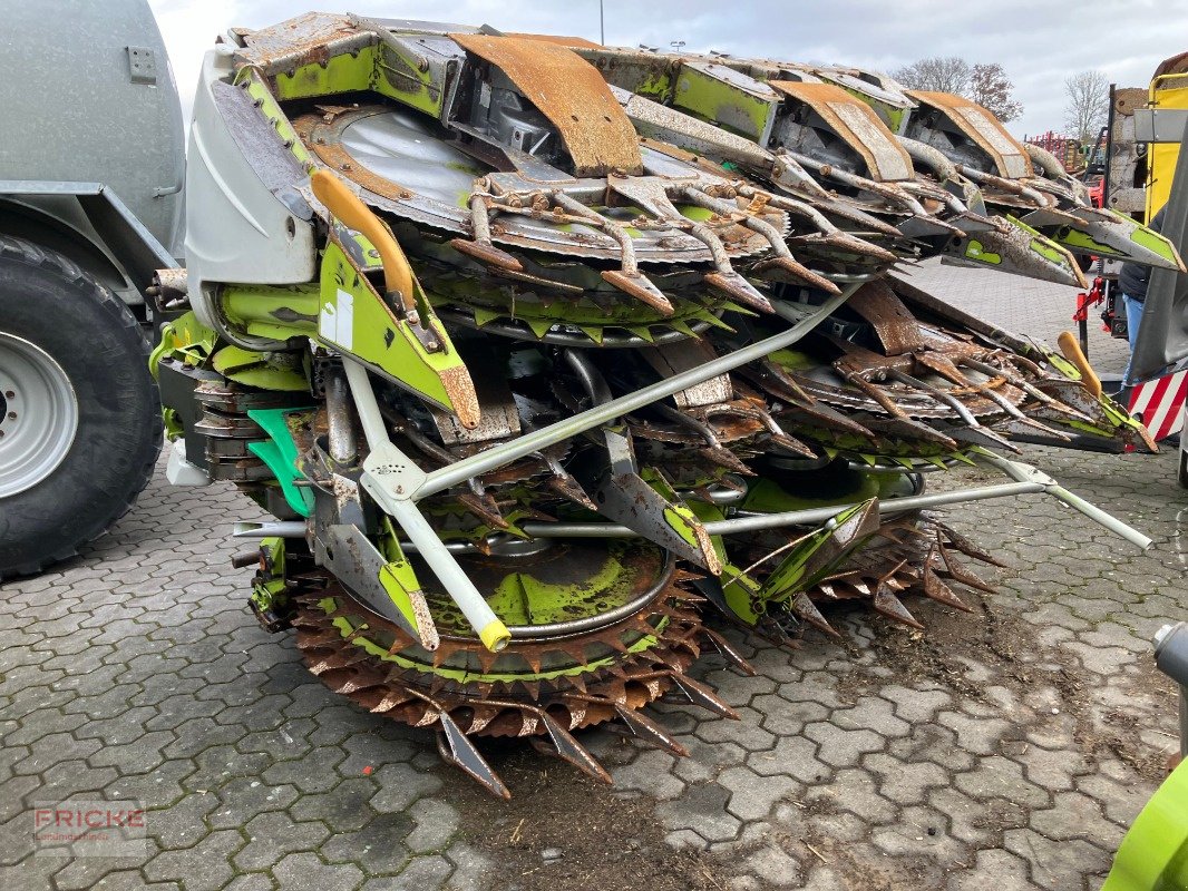 Maisgebiß типа CLAAS Orbis 900, Gebrauchtmaschine в Bockel - Gyhum (Фотография 3)