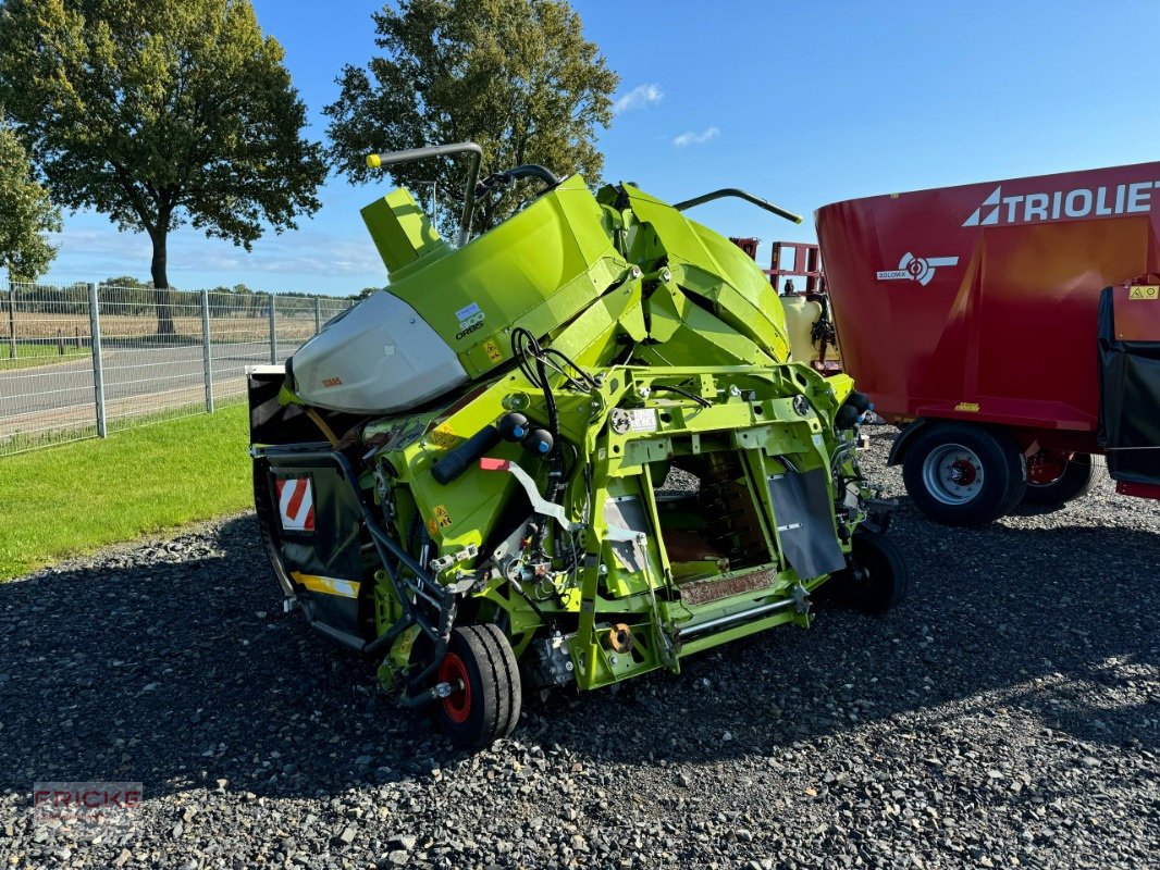 Maisgebiß of the type CLAAS Orbis 900, Gebrauchtmaschine in Bockel - Gyhum (Picture 2)