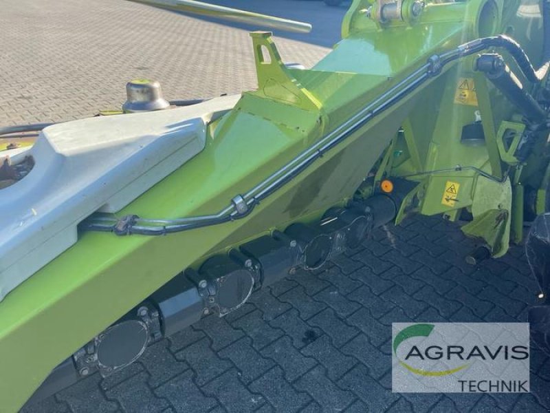 Maisgebiß a típus CLAAS ORBIS 900, Gebrauchtmaschine ekkor: Alpen (Kép 9)