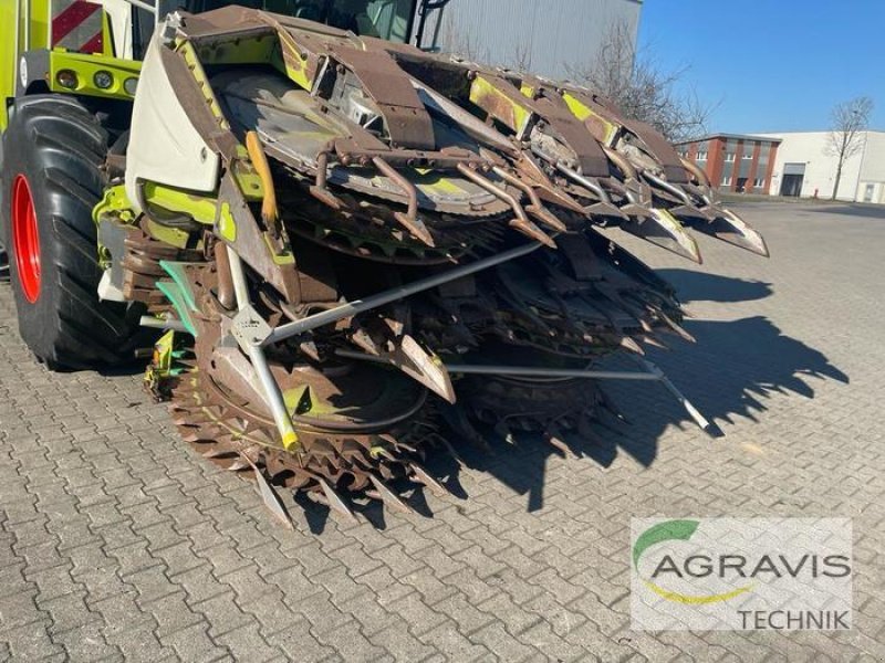 Maisgebiß du type CLAAS ORBIS 900, Gebrauchtmaschine en Alpen (Photo 4)