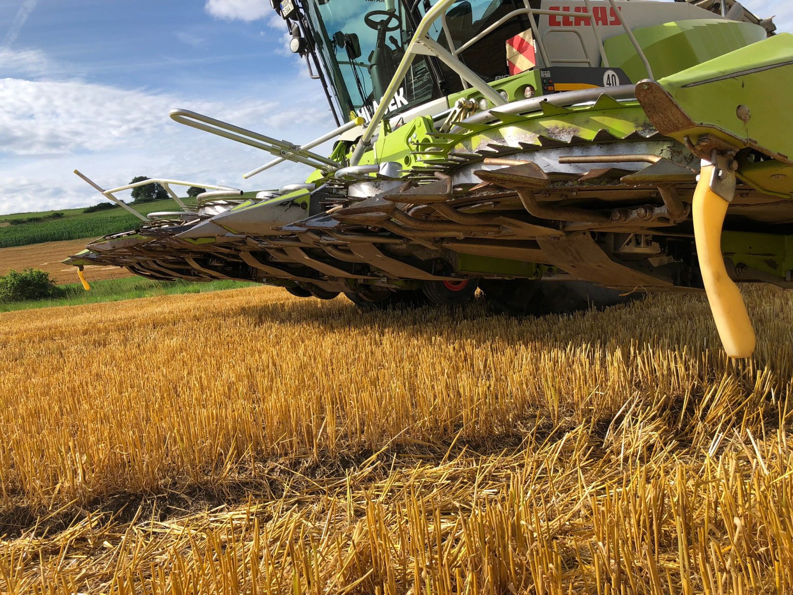 Maisgebiß of the type CLAAS Orbis 900, Gebrauchtmaschine in Treuchtlingen (Picture 12)