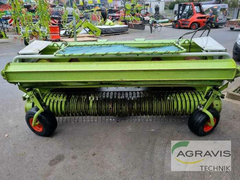 Maisgebiß του τύπου CLAAS PU 300 HD, Gebrauchtmaschine σε Lage (Φωτογραφία 2)