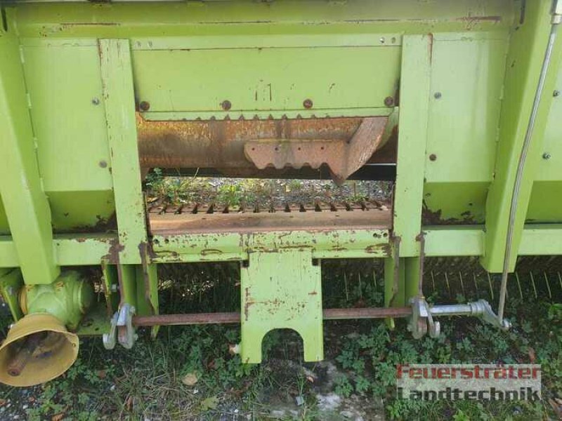 Maisgebiß del tipo CLAAS PU 300, Gebrauchtmaschine en Beelen (Imagen 2)