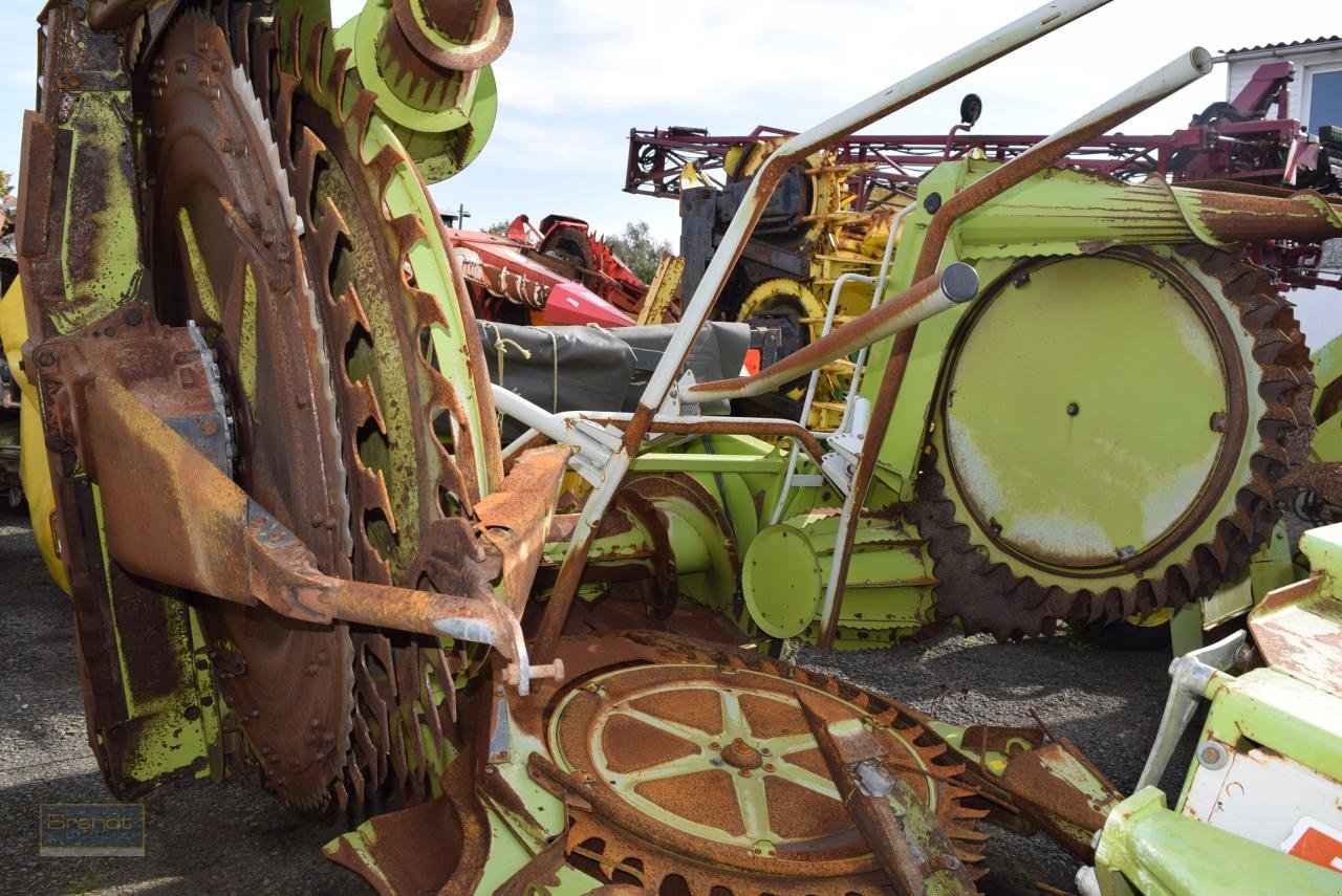 Maisgebiß du type CLAAS RU 450, Gebrauchtmaschine en Oyten (Photo 1)