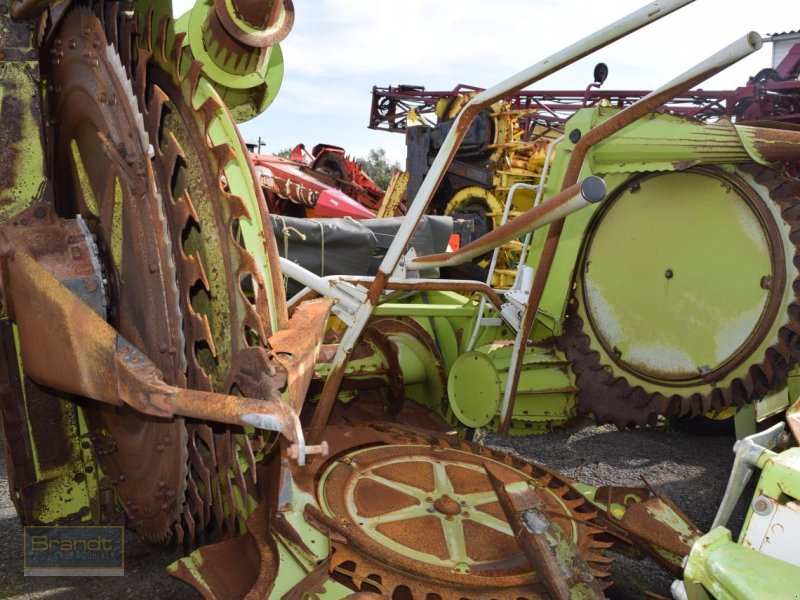 Maisgebiss del tipo CLAAS RU 450, Gebrauchtmaschine In Oyten (Immagine 1)