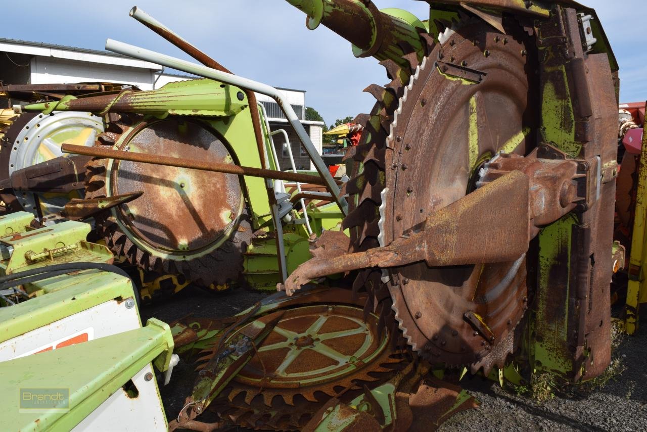 Maisgebiß des Typs CLAAS RU 450, Gebrauchtmaschine in Oyten (Bild 2)