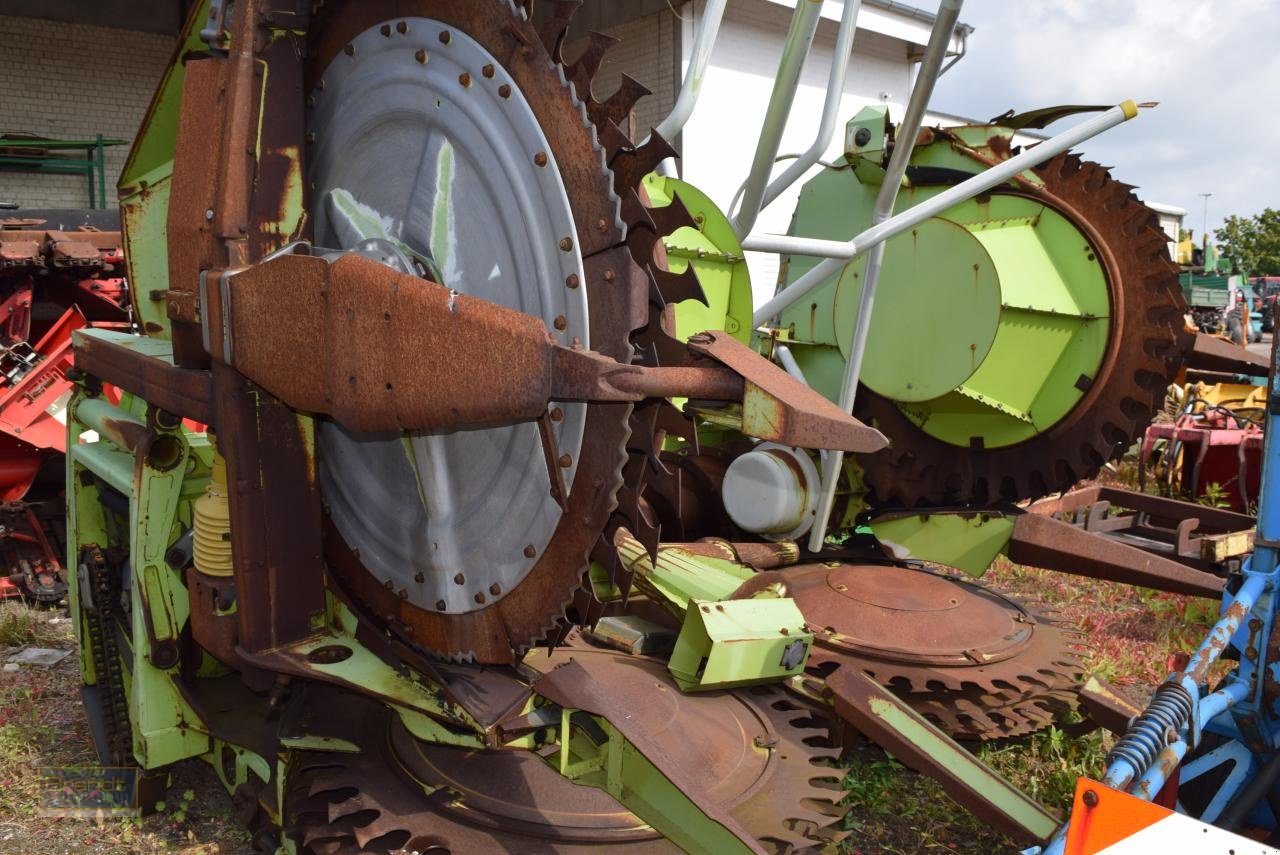 Maisgebiss typu CLAAS RU 600, Gebrauchtmaschine v Oyten (Obrázek 1)