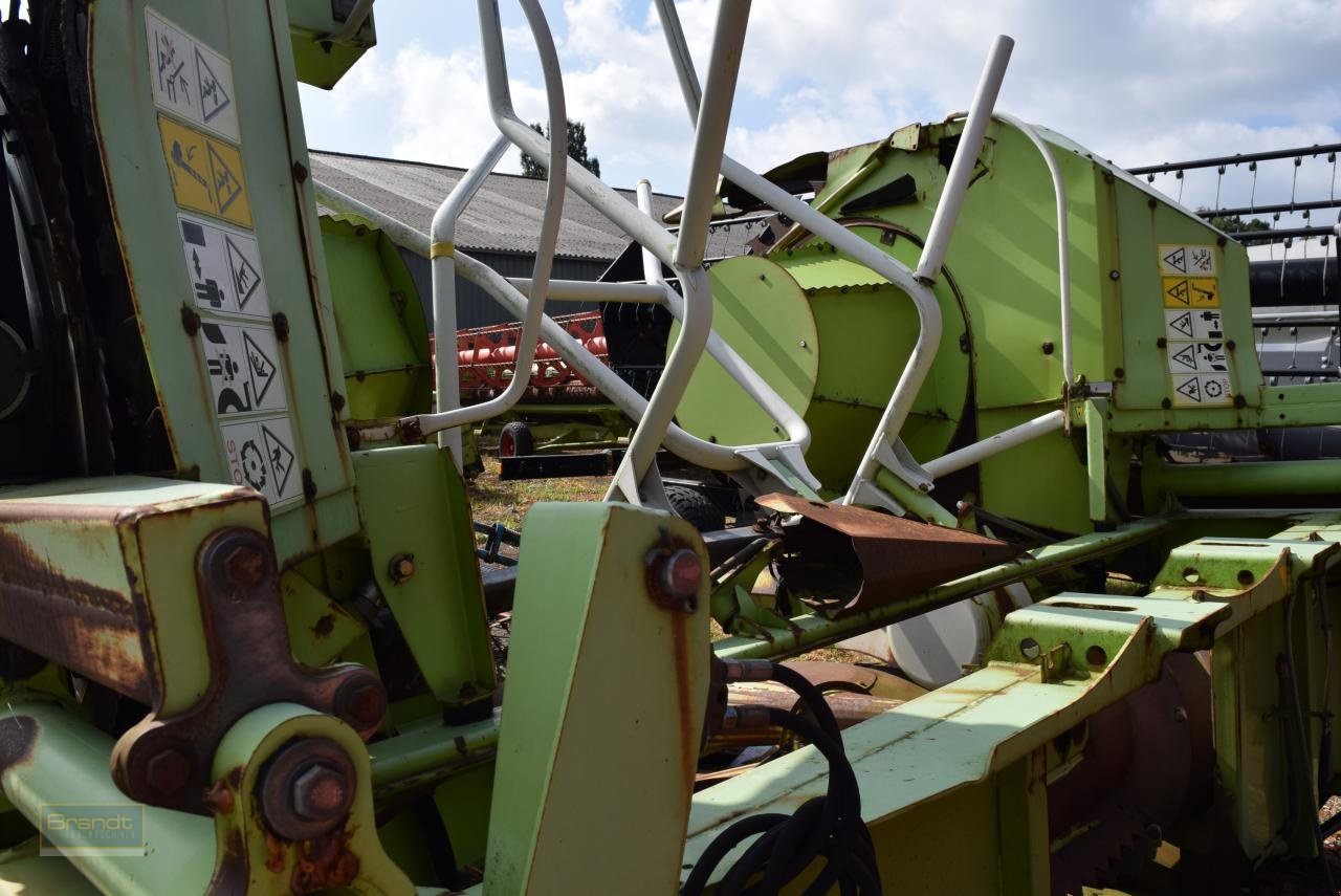 Maisgebiss del tipo CLAAS RU 600, Gebrauchtmaschine en Oyten (Imagen 3)