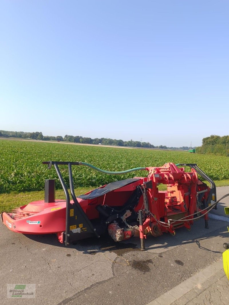 Maisgebiss tip Kemper 460 Plus, Gebrauchtmaschine in Rhede / Brual (Poză 3)