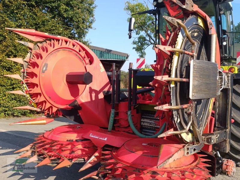 Maisgebiß des Typs Kemper 460 Plus, Gebrauchtmaschine in Rhede / Brual