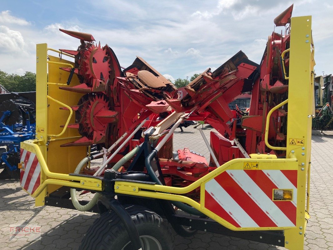 Maisgebiß van het type Kemper Champion 375 Plus, Gebrauchtmaschine in Bockel - Gyhum (Foto 7)