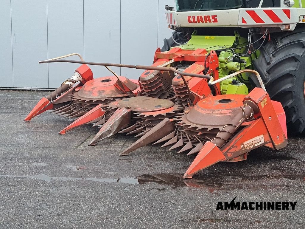 Maisgebiss of the type Kemper Inspected, Gebrauchtmaschine in Horst (Picture 1)