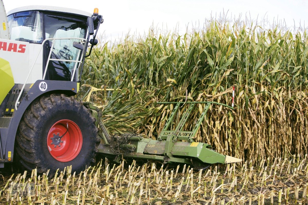 Maisgebiß des Typs Krone Easy Collect 750-2 FP / Claas *MIETE*, Neumaschine in Emsbüren (Bild 8)