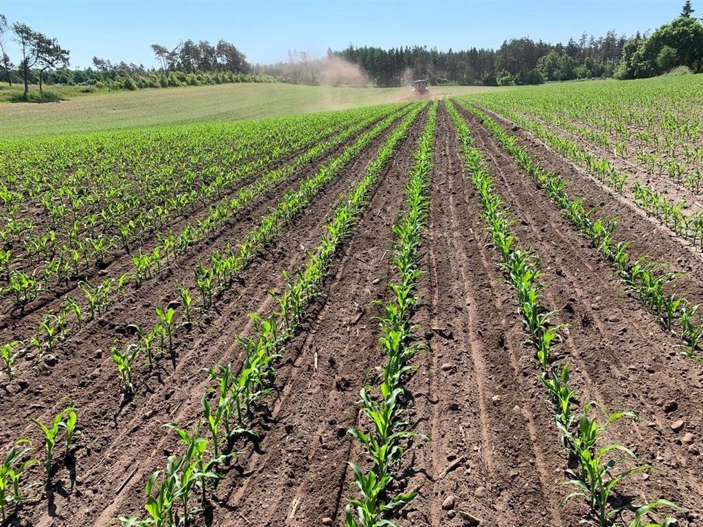 Maishackgerät del tipo Gaspardo CropSeed frø såudstyr, Gebrauchtmaschine en Nykøbing Mors (Imagen 4)