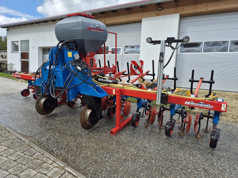 Maishackgerät of the type Hatzenbichler Hackgerät 8 reihig Section Control Isobus Mais Verschubrahmen Kamersteuerung, Gebrauchtmaschine in Dietersburg (Picture 1)