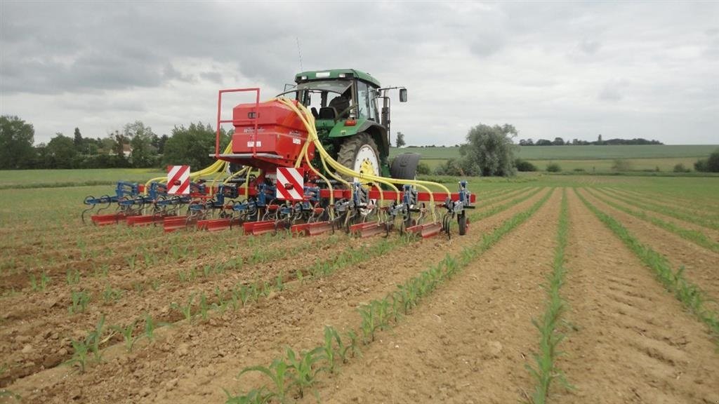 Maishackgerät tip Hatzenbichler Majsrenser 12 rækket majsrenser med 400 l tank og frøudstyr, Gebrauchtmaschine in Sabro (Poză 7)