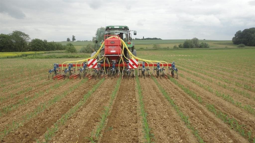 Maishackgerät tip Hatzenbichler Majsrenser 12 rækket majsrenser med 400 l tank og frøudstyr, Gebrauchtmaschine in Sabro (Poză 8)