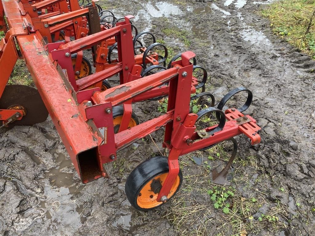 Maishackgerät del tipo Kongskilde 12 rækket radrenser med plader til små afgrøder, Gebrauchtmaschine In øster ulslev (Immagine 4)