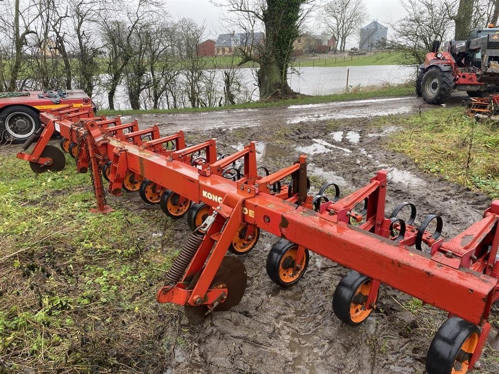 Maishackgerät typu Kongskilde 12 rækket radrenser med plader til små afgrøder, Gebrauchtmaschine v øster ulslev (Obrázek 3)