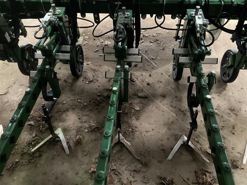 Maishackgerät des Typs Sonstige Robocrop guided hoe renser, Gebrauchtmaschine in Horsens (Bild 6)