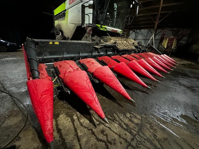 Maispflückvorsatz a típus Capello DIAMANT, Gebrauchtmaschine ekkor: PONTIVY (Kép 1)