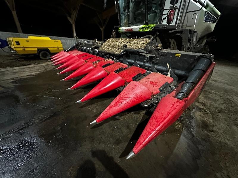 Maispflückvorsatz del tipo Capello DIAMANT, Gebrauchtmaschine en PONTIVY (Imagen 2)