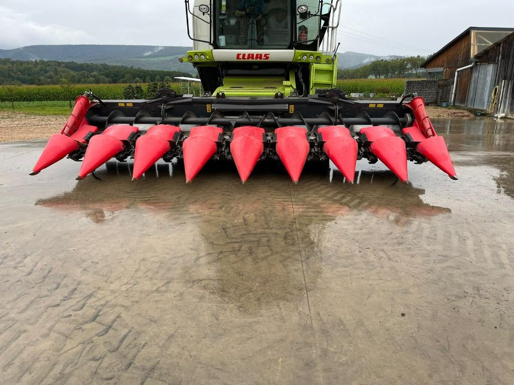 Maispflückvorsatz van het type Capello Diamant, Gebrauchtmaschine in OSTHEIM (Foto 2)