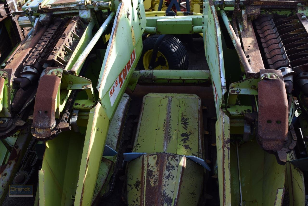 Maispflückvorsatz du type CLAAS 6-75, Gebrauchtmaschine en Oyten (Photo 5)