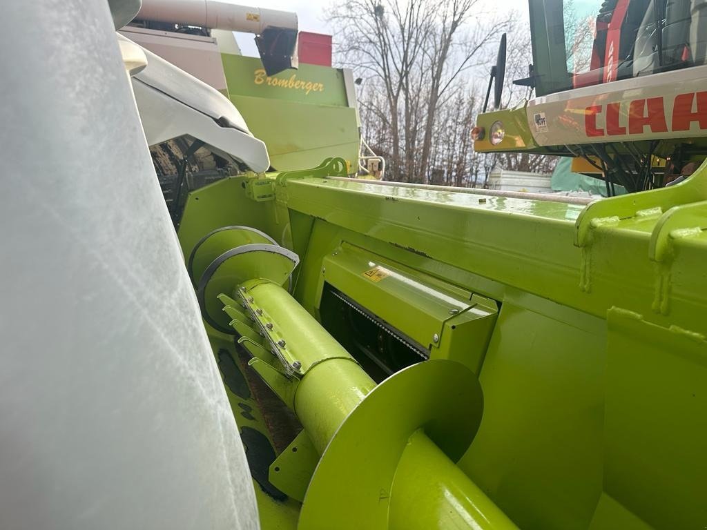 Maispflückvorsatz des Typs CLAAS Conspeed 4-75 C linear, Gebrauchtmaschine in Schutterzell (Bild 5)