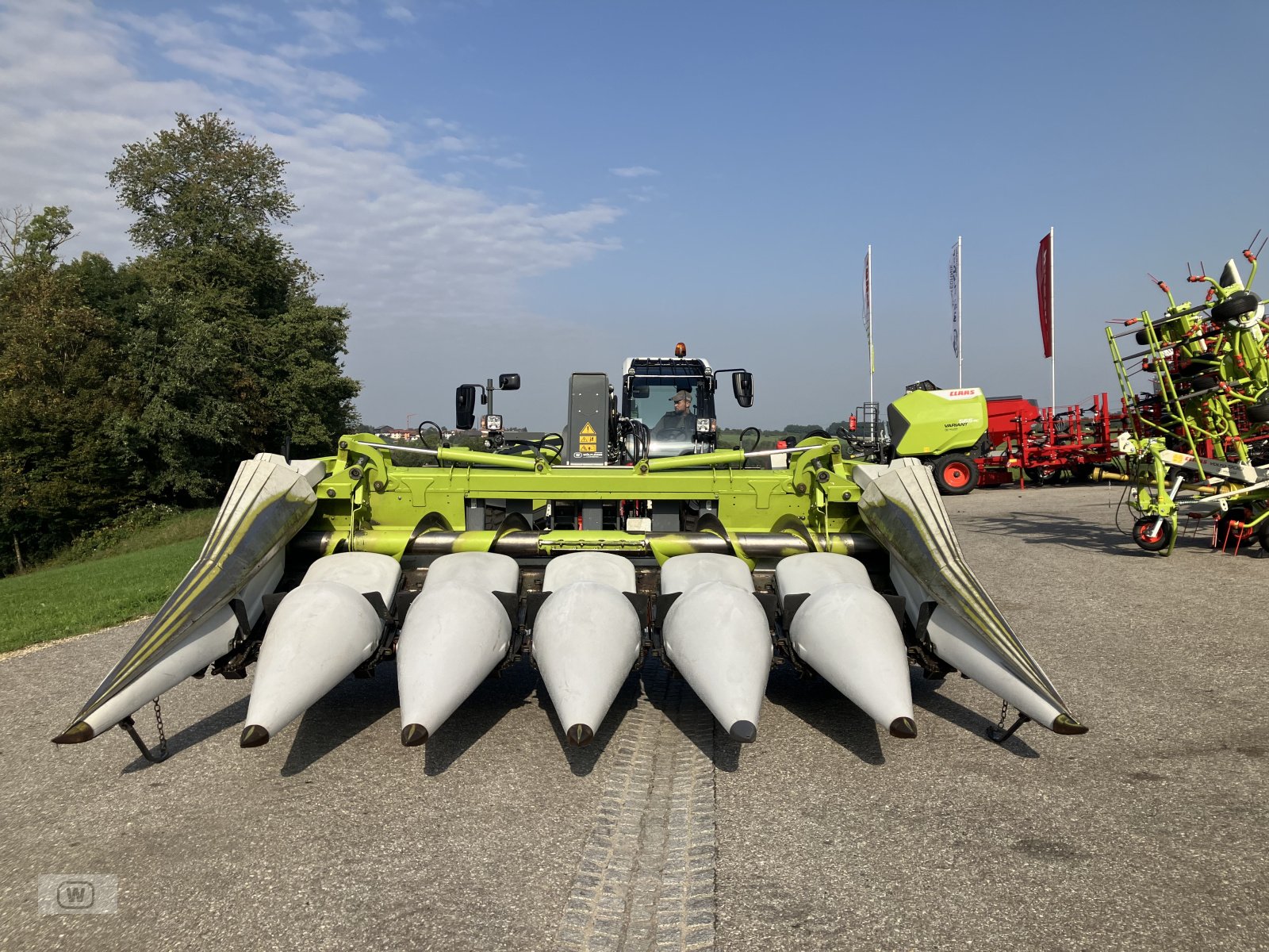 Maispflückvorsatz des Typs CLAAS Conspeed 6-70 FC, Gebrauchtmaschine in Zell an der Pram (Bild 2)